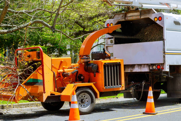 Mulching Services in Scarsdale, NY