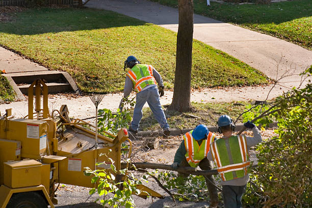 Best Lawn Pest Prevention  in Scarsdale, NY